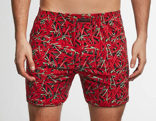 Поповнення нашої колекції чоловічої білизни Cornette