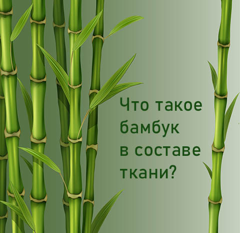 Что такое бамбук в составе ткани мужского белья?
