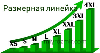 Размерная линейка мужского белья, принятая у большинства производителей Размерная линейка мужского белья, принятая у большинства производителей
