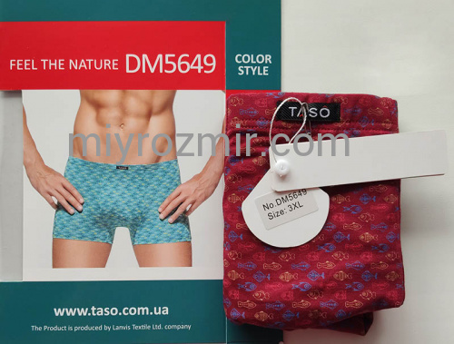 Чоловічі труси шорти TASO DM 5649 COLOUR STYLE фото 2