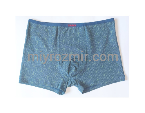 TASO 5781 Colour style бавовняні труси шорти з вузькою резинкою фото 3
