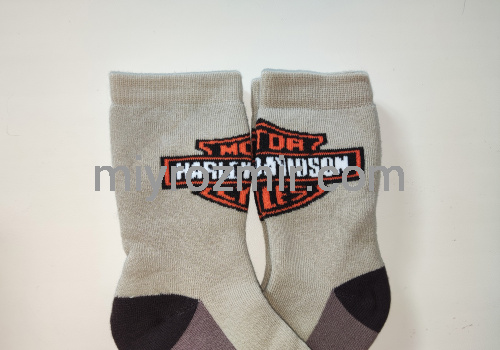 Дитячі махрові шкарпетки на хлопчика Harley Davidson KidStep 822 фото 6