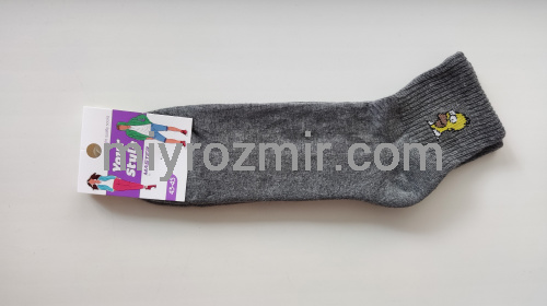 Чоловічі шкарпетки з махровою стопою з Сімпсоном Гомером Master Step 403 фото 2