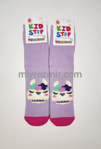 Дитячі махрові теплі шкарпетки з малюнками KidStep 055 фото 12