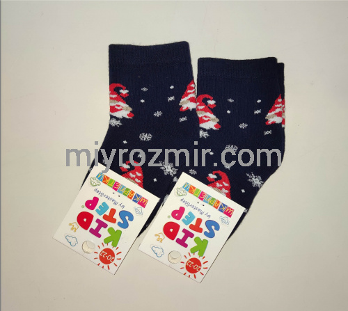 РІЗНІ МАЛЮНКИ Махрові теплі дитячі шкарпетки з новорічними малюнками  KidStep 849 фото 20