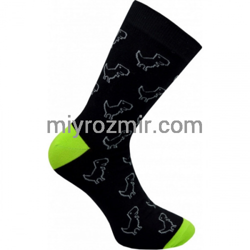 Чоловічі класичні шкарпетки з прикольним малюнком Динозавра Легка Хода 6346