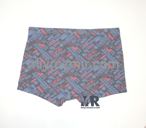 TASO 5784 бамбукова чоловіча білизна фото 10 TASO 5784 бамбукова чоловіча білизна фото 10