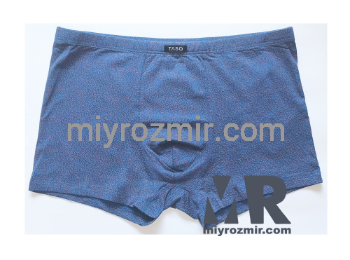 TASO 5785 Colour style бамбукові труси шорти з дрібним малюнком на чоловіка