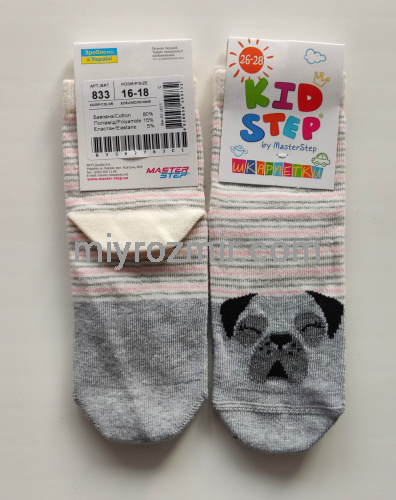 Шкарпетки дитячі Мопс Master Step 833 фото 9