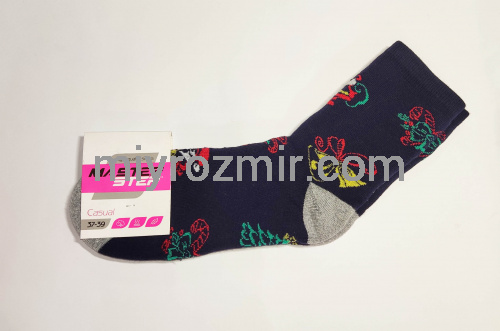 Жіночі новорічні махрові шкарпетки Master Step 603 фото 4