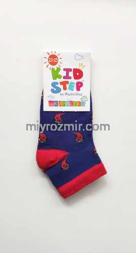 Набір різнокольрових дитячих шкарпеток 16шт Master Step фото 5