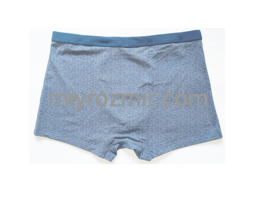 TASO 5789 Colour style бамбукові труси шорти з широкою вшитою резинкою фото 7