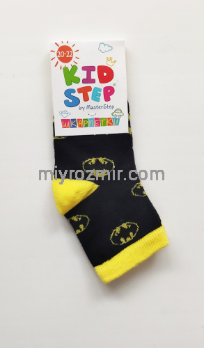 Прикольні шкарпетки унісекс Бетмен Master 219 / 836 фото 14