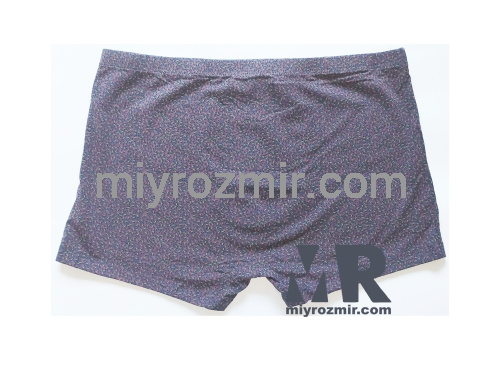 TASO 5785 Colour style бамбукові труси шорти з дрібним малюнком на чоловіка фото 11