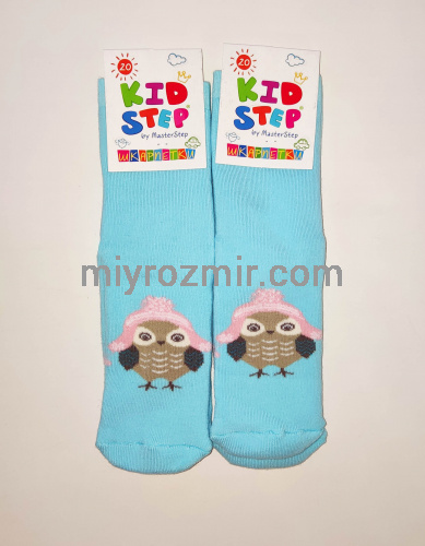 Дитячі махрові теплі шкарпетки з малюнками KidStep 055 фото 2