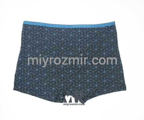 TASO 5781 Colour style бавовняні труси шорти з вузькою резинкою фото 16