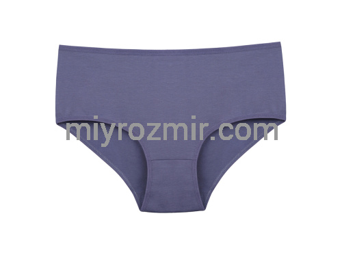 Donella 2571PD2 жіночі батальні трусики без малюнку Donella 2571PD2 жіночі батальні трусики без малюнку