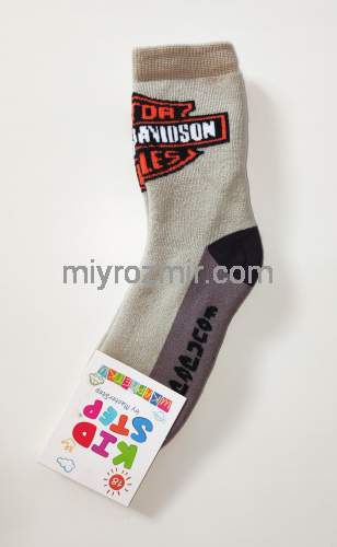 Дитячі махрові шкарпетки на хлопчика Harley Davidson KidStep 822 фото 5