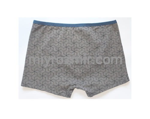 TASO 5781 Colour style бавовняні труси шорти з вузькою резинкою фото 7