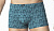 Чоловічі труси-шорти TASO DM 5715 модал листя XL блакитний з сірим