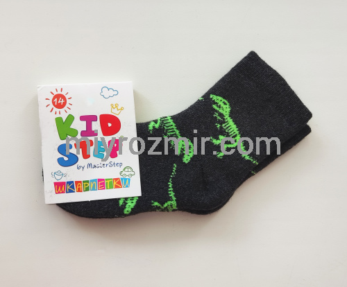 Сірі дитячі класичні махрові шкарпетки з малюнком скелета динозавра KidStep 051