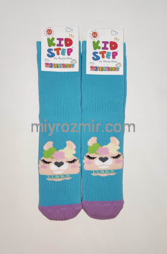 Дитячі махрові теплі шкарпетки з малюнками KidStep 055 фото 10