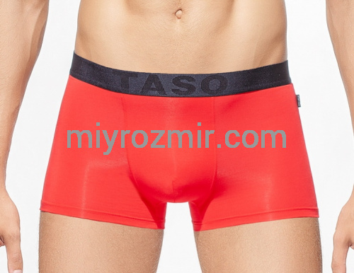 TASO 5566 Труси шорти чоловічі, бамбук бавовна, широка резинка