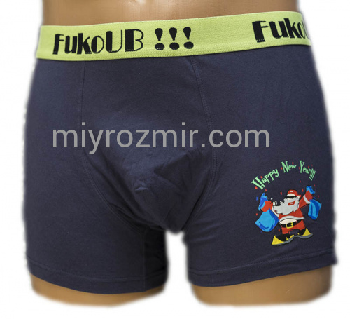 Чоловічі бавовняні боксерки, труси шорти з широкою резинкою Fuko UB 8091 фото 2