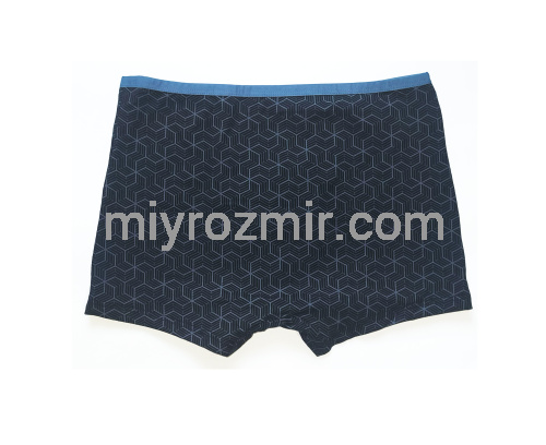 TASO 5781 Colour style бавовняні труси шорти з вузькою резинкою фото 13