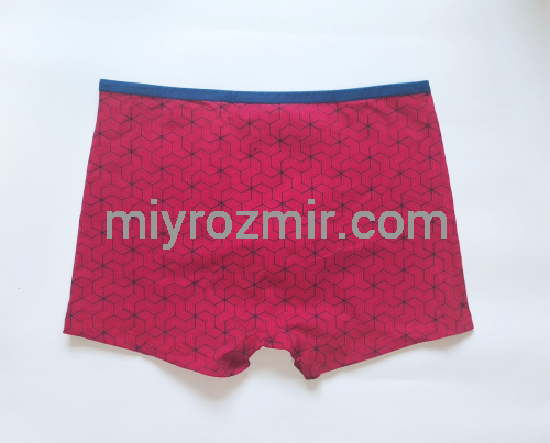 TASO 5781 Colour style бавовняні труси шорти з вузькою резинкою фото 10