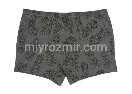 Donella 751093 Хлопчачі труси шорти з класичною резинкою