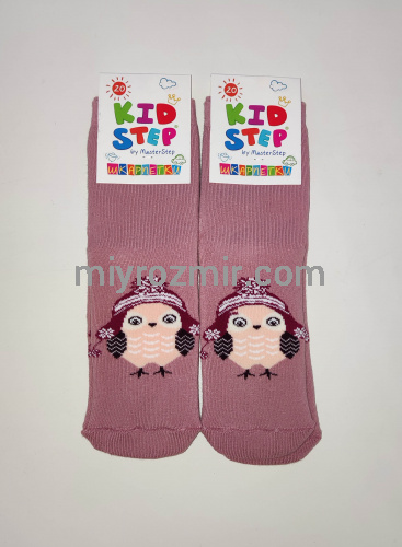 Дитячі махрові теплі шкарпетки з малюнками KidStep 055 фото 3