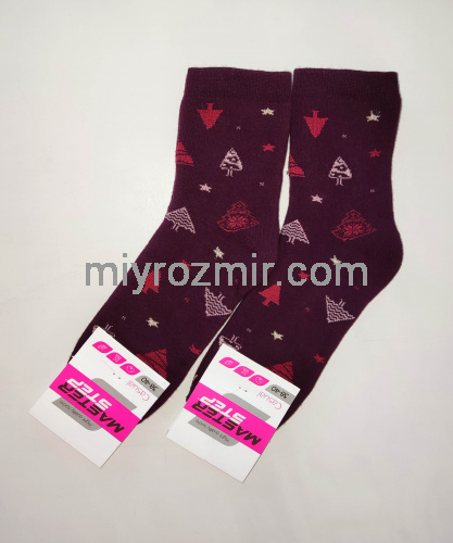 Махрові теплі жіночі класичні шкарпетки з новорічним принтом Master Step 2531 фото 4