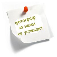 TASO 8002 однотонні чоловічі труси шорти з еластичною широкою резинкою