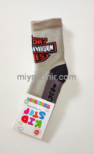 Дитячі махрові шкарпетки на хлопчика Harley Davidson KidStep 822 фото 3