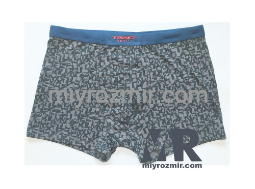 TASO 5813 чоловічі модальні труси з широкою вшитою резинкою TASO 5813 чоловічі модальні труси з широкою вшитою резинкою