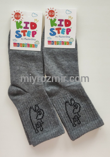 Шкарпетки Кіт Саймона Master Step 005 фото 8