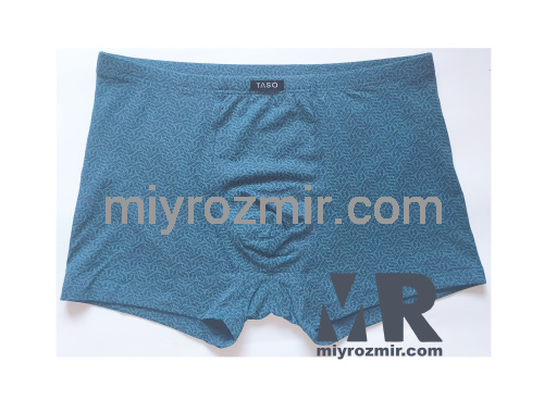 TASO 5811 Colour style чоловічі труси бамбук + бавовна