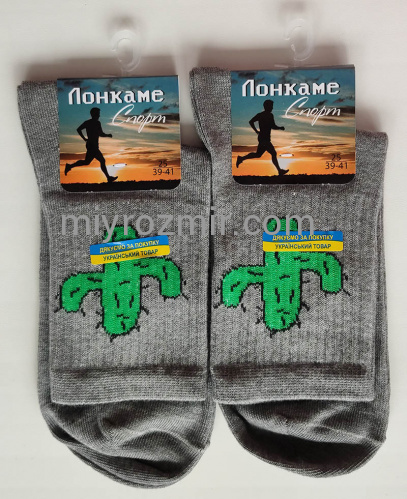 Сірі шкарпетки з малюнком Кактус Лонкаме 2107 фото 6