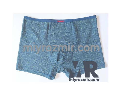 TASO 5781 Colour style бавовняні труси шорти з вузькою резинкою