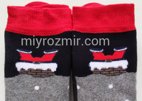 Шкарпетки новорічні махра Лонкаме 3065 фото 3