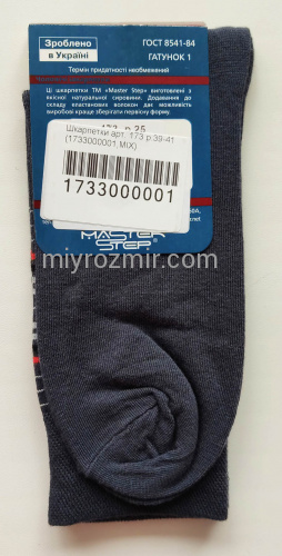 Темно-сірі чоловічі класичні шкарпетки Бавовна Premium 173 Master фото 3